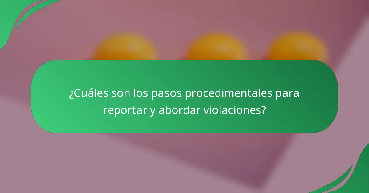 ¿Cuáles son los pasos procedimentales para reportar y abordar violaciones?